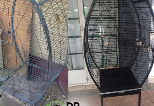 Large oval bird cage shown before and after restoration